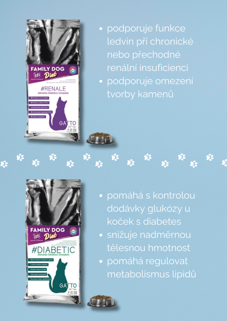 Tisková ukázka 5